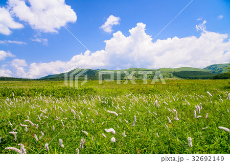 【長野県】霧ヶ峰・八島湿原 【長野県】霧ヶ峰・八島湿原 32692149