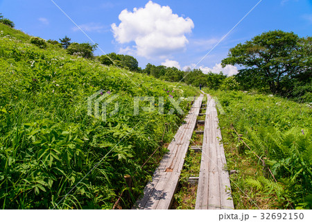 【長野県】霧ヶ峰・八島湿原 【長野県】霧ヶ峰・八島湿原 32692150