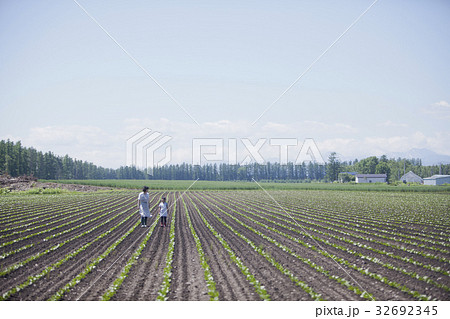 畑を歩く親子 32692345