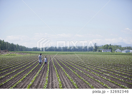 畑を歩く親子 畑を歩く親子 32692346
