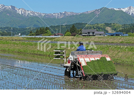 田植えの風景 田植えの風景 32694004
