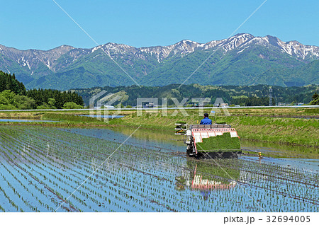 田植えの風景 32694005
