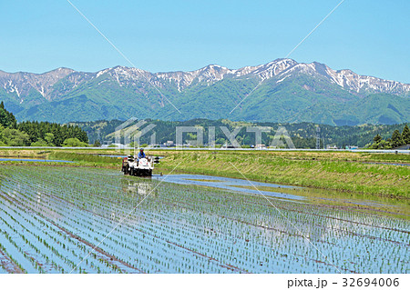 田植えの風景 田植えの風景 32694006