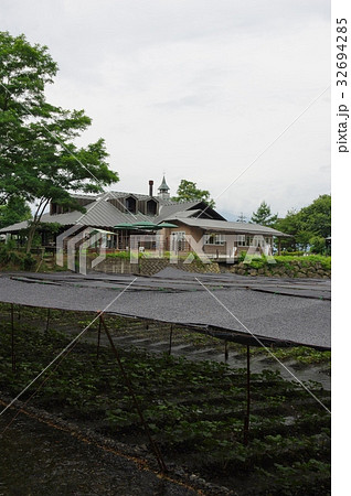 安曇野 大わさび農場 安曇野 大わさび農場 32694285