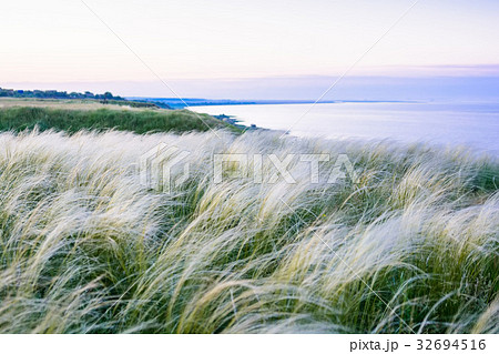 Field with feather grass Stipa beautiful landscape Field with feather grass Stipa beautiful landscape 32694516