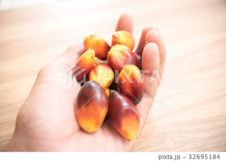 A group of oil palm fruits on wood table 32695184