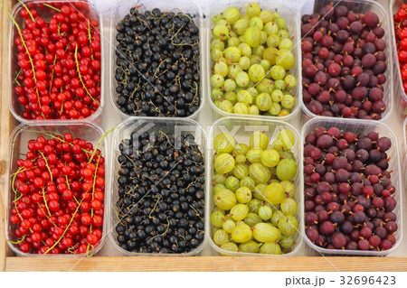 Berry Fruits 32696423