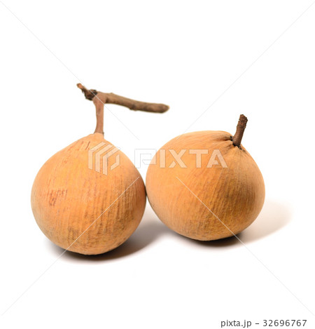 Santol fruit isolate on white background Santol fruit isolate on white background 32696767