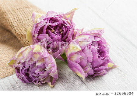 Background with pink tulips Background with pink tulips 32696904