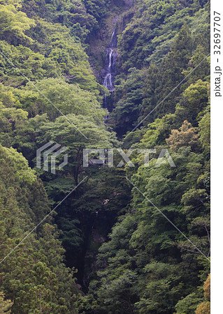 徳島県つるぎ町　鳴滝 32697707