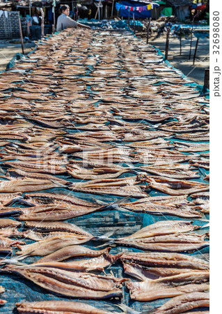 Ngapali Beach fish drying Myanmar Ngapali Beach fish drying Myanmar 32698080