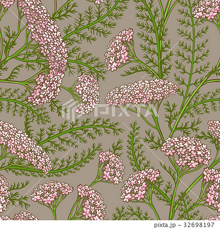 yarrow vector pattern 32698197