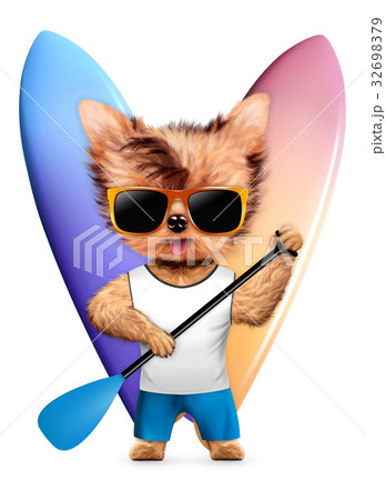 Animal wearing t-shirt and hold surf and paddle 32698379