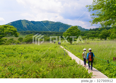 【長野県】霧ヶ峰・八島湿原を歩く人達 32700912