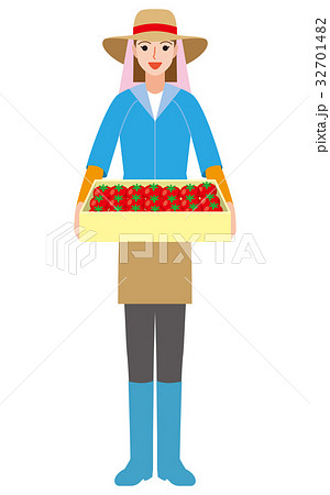 農業　トマト農家 32701482