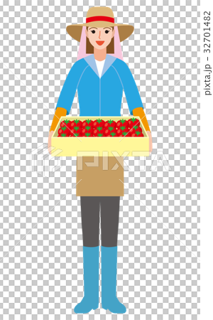 農業　トマト農家 32701482