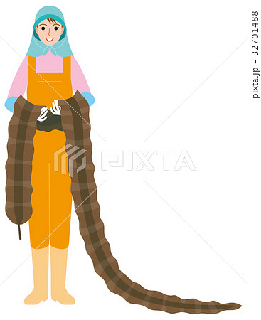 昆布干し 32701488