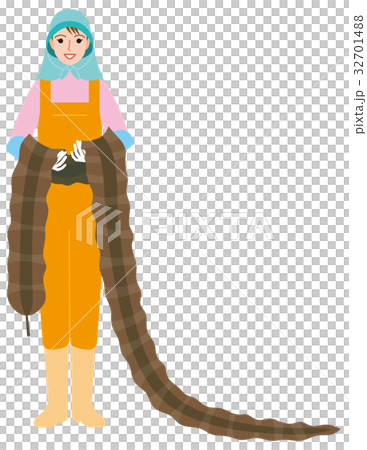 昆布干し 32701488