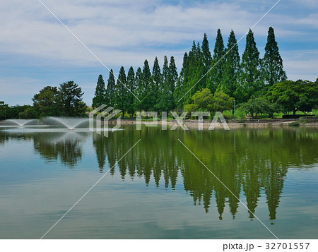 大阪・城北公園 32701557