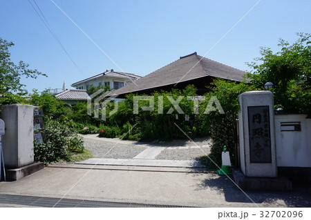 加古川 円照寺の花 6月15日撮影 加古川 円照寺の花 6月15日撮影 32702096