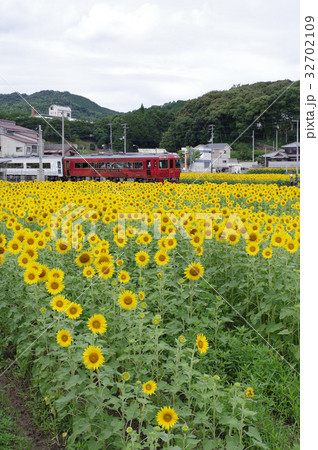 四国まんなか千年ものがたり 四国まんなか千年ものがたり 32702109