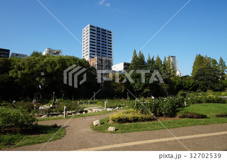 靭公園 靭公園 32702539
