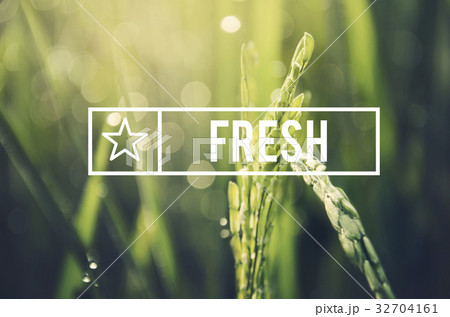 Alternative Farming Sustainable Nature Concept Alternative Farming Sustainable Nature Concept 32704161