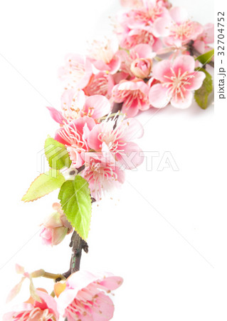 Fake sakura blossom on white Fake sakura blossom on white 32704752