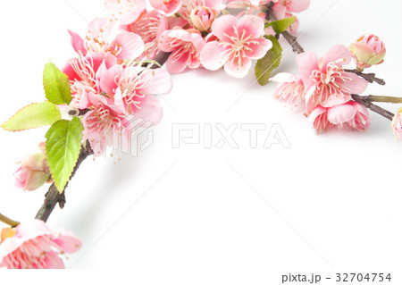 Fake sakura blossom on white Fake sakura blossom on white 32704754