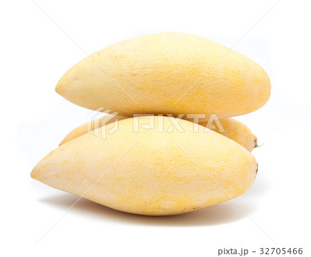 three mango three mango 32705466