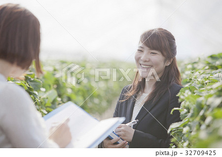 いちご 調査員 いちご 調査員 32709425