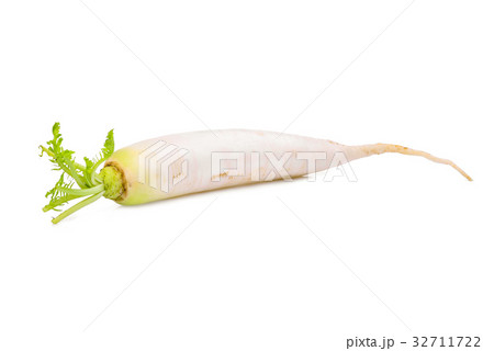 single fresh daikon radish isolated on the white single fresh daikon radish isolated on the white 32711722