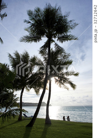 夕方のビーチ 32712642