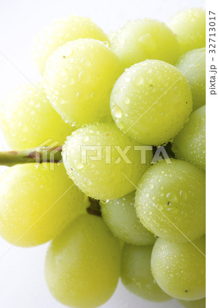 マスカット 32713017