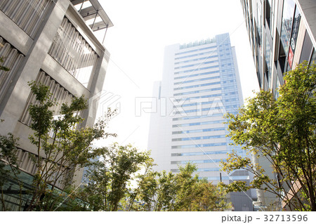 蛇崩川緑道(じゃくずれがわ) 蛇崩川緑道(じゃくずれがわ) 32713596