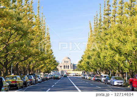 神宮外苑のイチョウ並木 神宮外苑のイチョウ並木 32714634