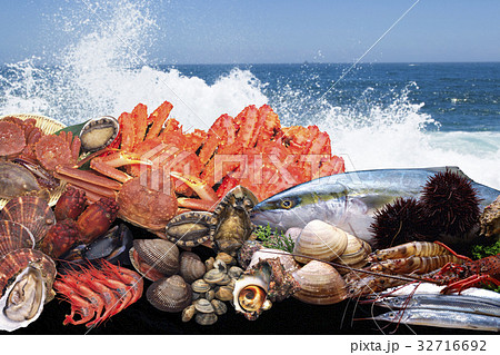魚介類 魚介類 32716692