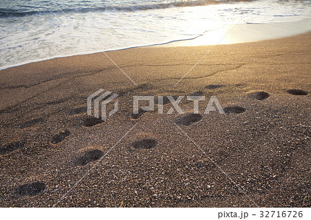 夕陽に照らされた砂浜 32716726