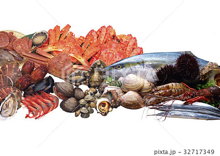 魚介類 魚介類 32717349