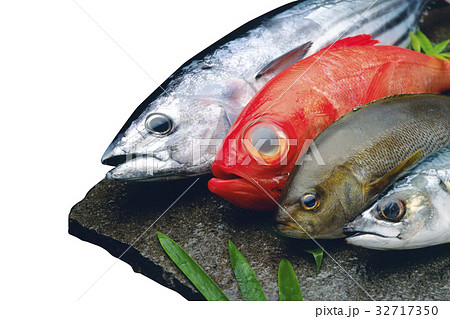 鮮魚 32717350