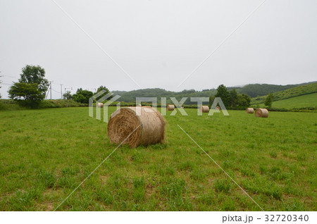 牧場・麦旱ロール(北海道紋別市) 牧場・麦旱ロール(北海道紋別市) 32720340