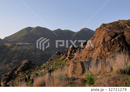 九重　ミヤマキリシマ 32721279