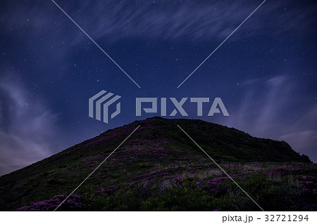 九重 ミヤマキリシマ 九重 ミヤマキリシマ 32721294