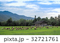 Sheep farm in the meadow. 32721761