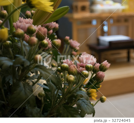Image Photo 32724045