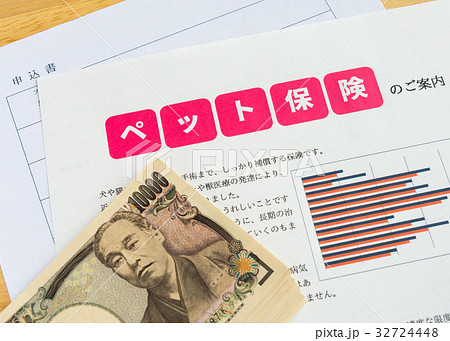 ペット保険イメージ　加入 32724448