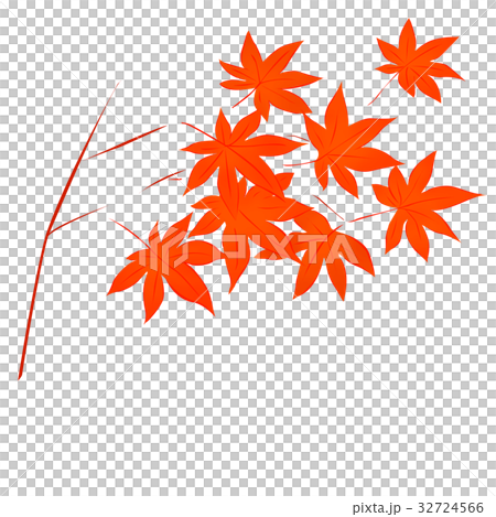 Illustration of Maple <Autumn illustration> Illustration of Maple <Autumn illustration> 32724566