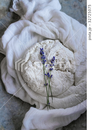 Fresh homemade cottage cheese Fresh homemade cottage cheese 32725075