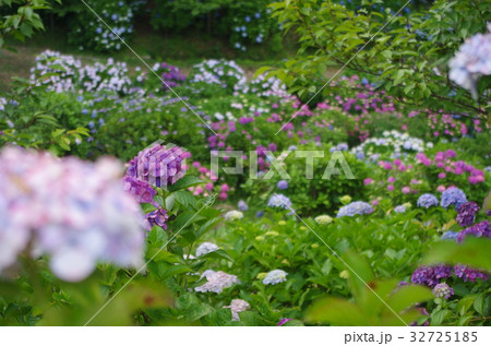 野見金公園 32725185