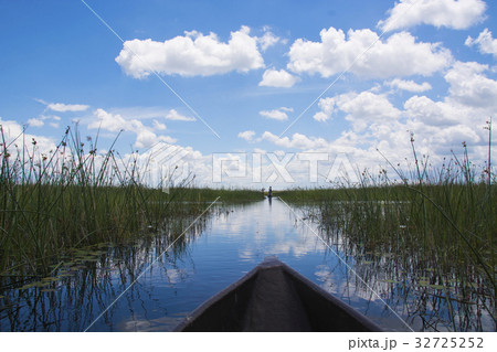 ボツワナ（アフリカ）世界遺産オカバンゴ湿地帯、カバの歩いた道を船で進む 32725252